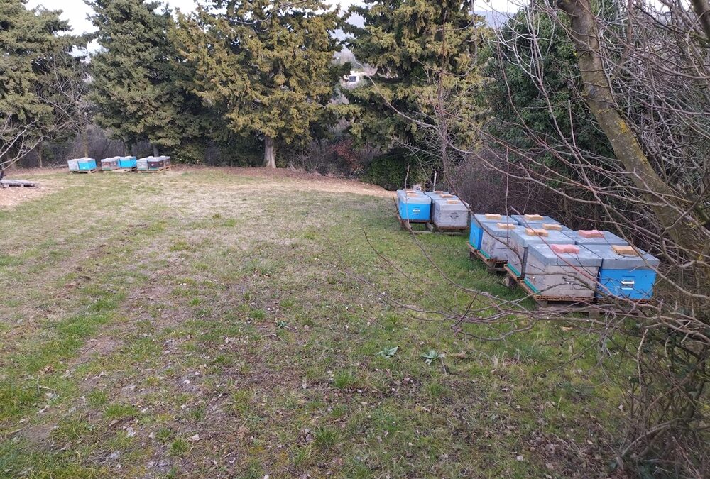 L&rsquo;activité s&rsquo;accroît.